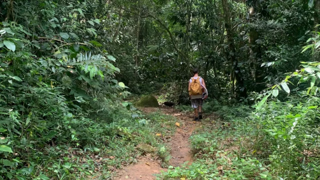 Trilha do Bonete em Ilhabela, no caminho até a praia